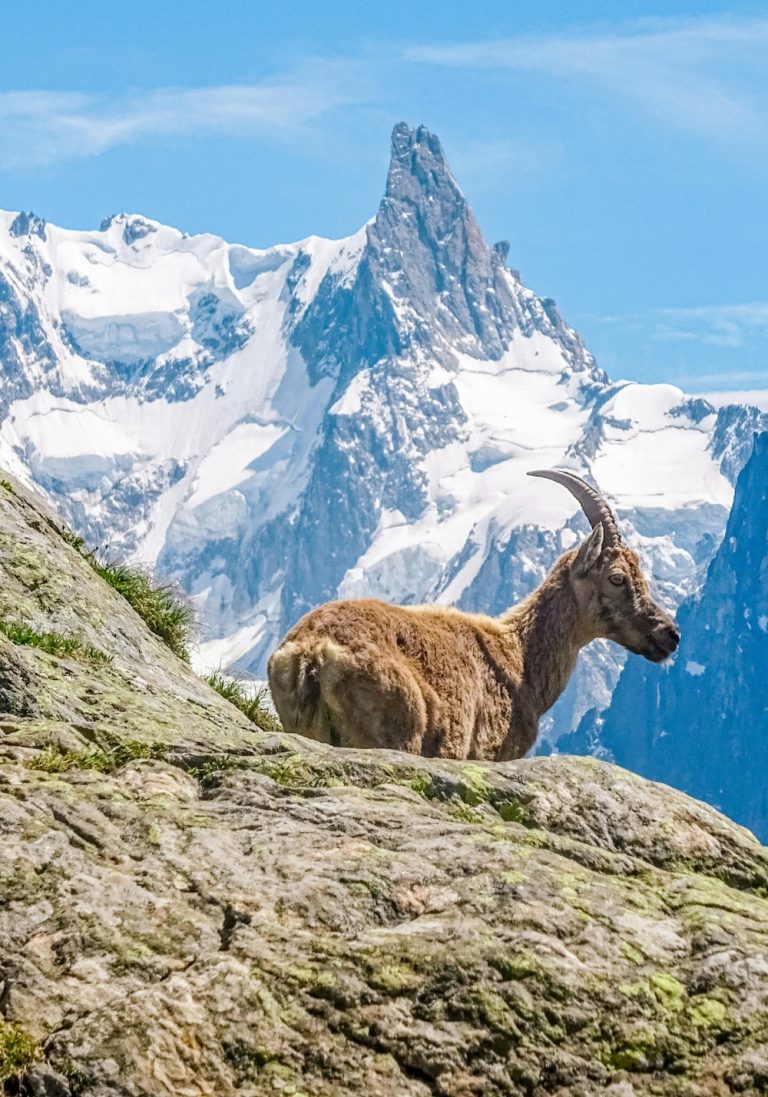 Cas client - Refonte du site Asters CEN 74